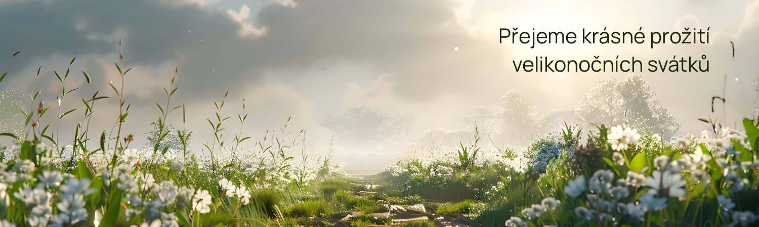 Základní škola sv. Voršily v Olomouci